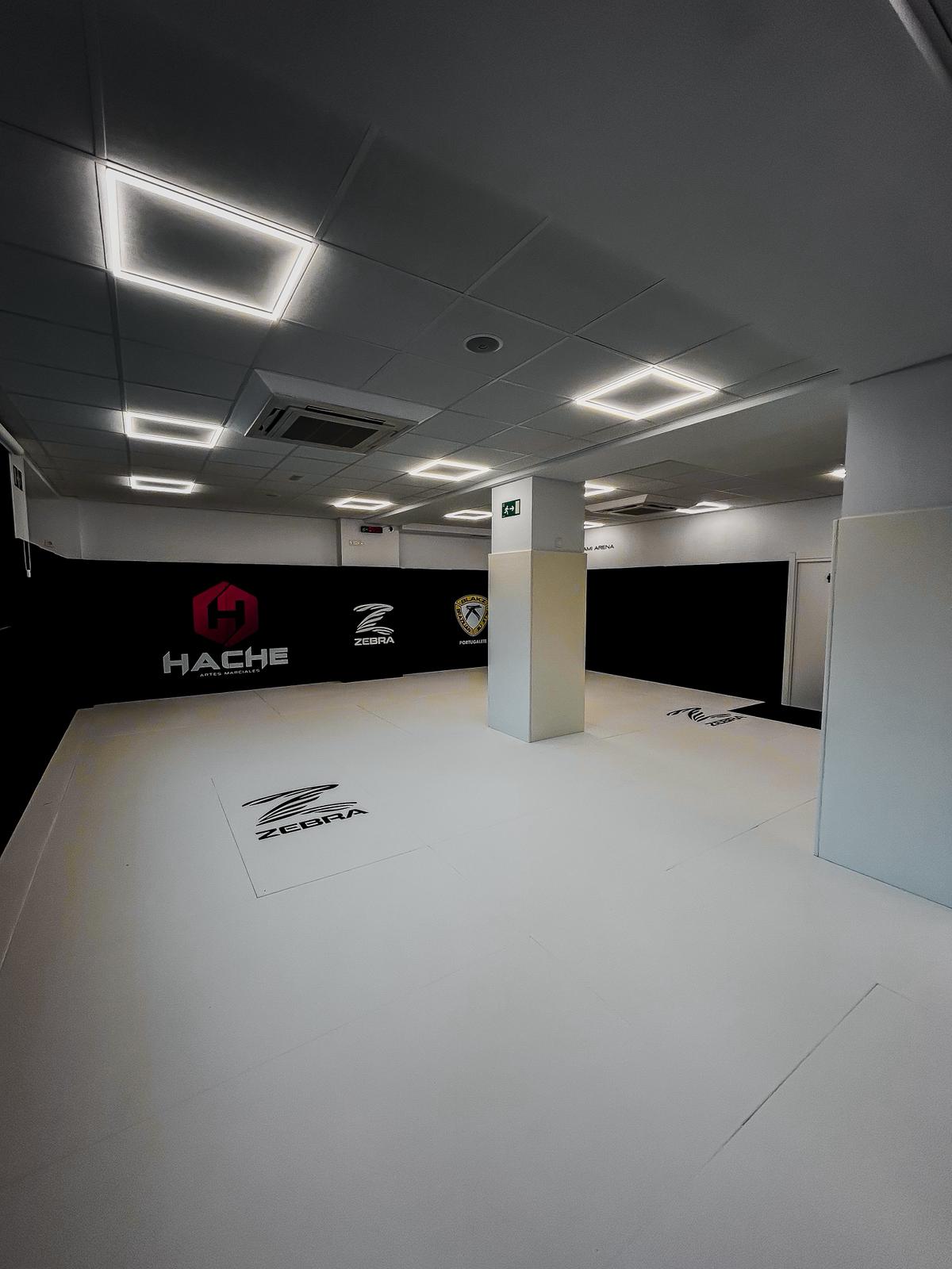Tatami de la academia Hache